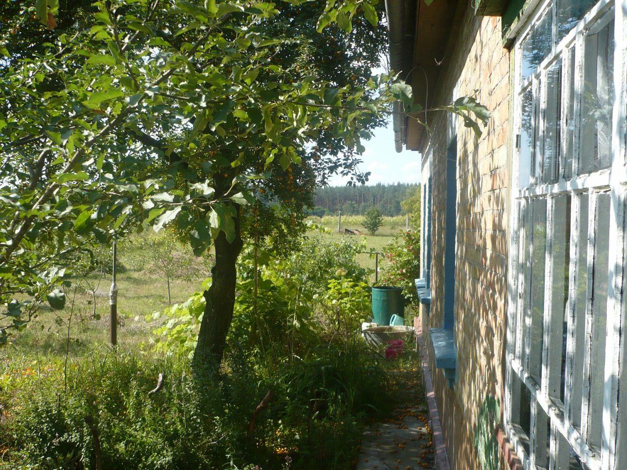 ххх - Катюжанка