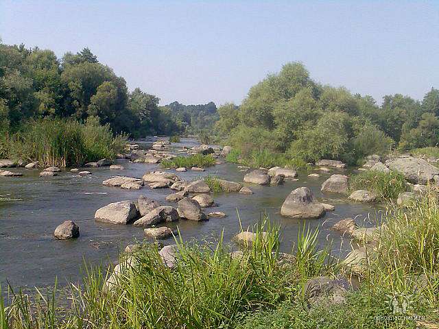 Наші Стрільчинці - Стрільчинці