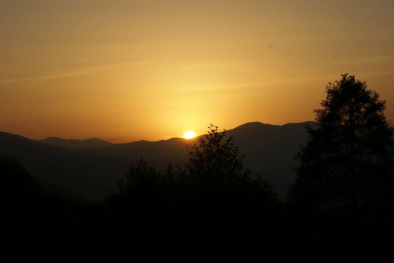 Виженка якою я ЇЇ бачу - Виженка