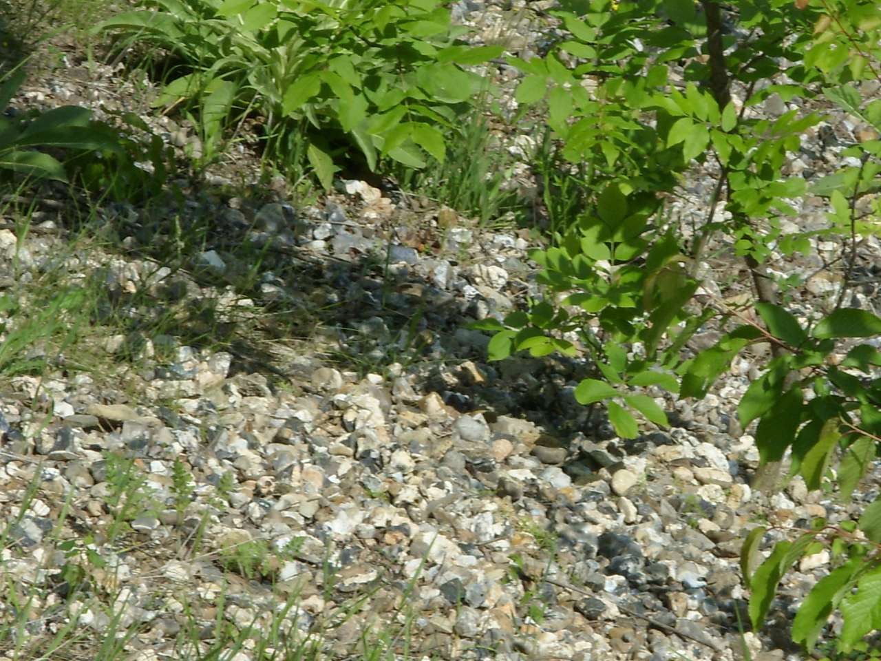 Краєвиди Михайлівки - Михайловка