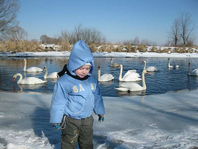 Городок, як тебе не любити... - Городок
