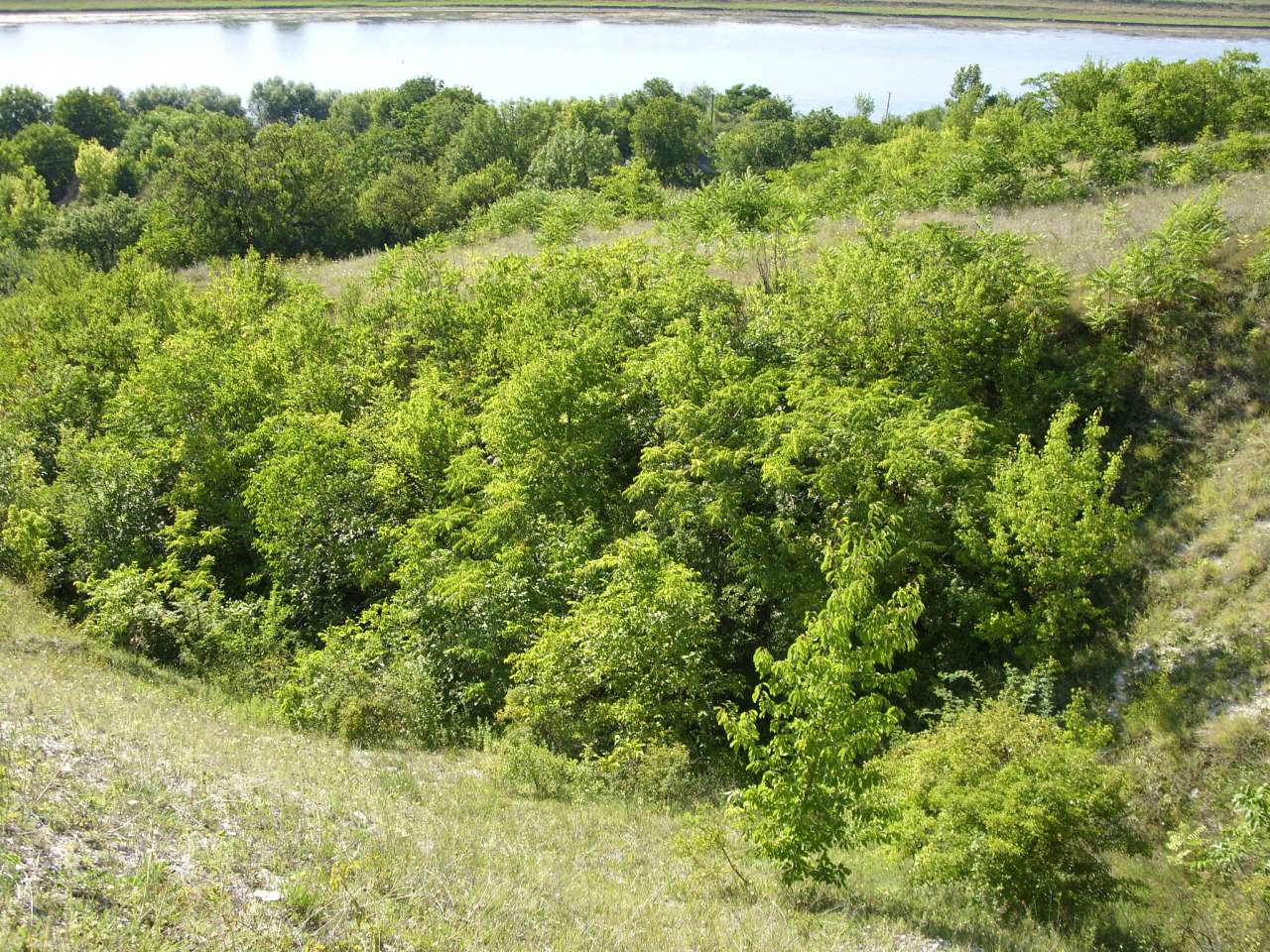 Краєвиди Михайлівки - Михайловка