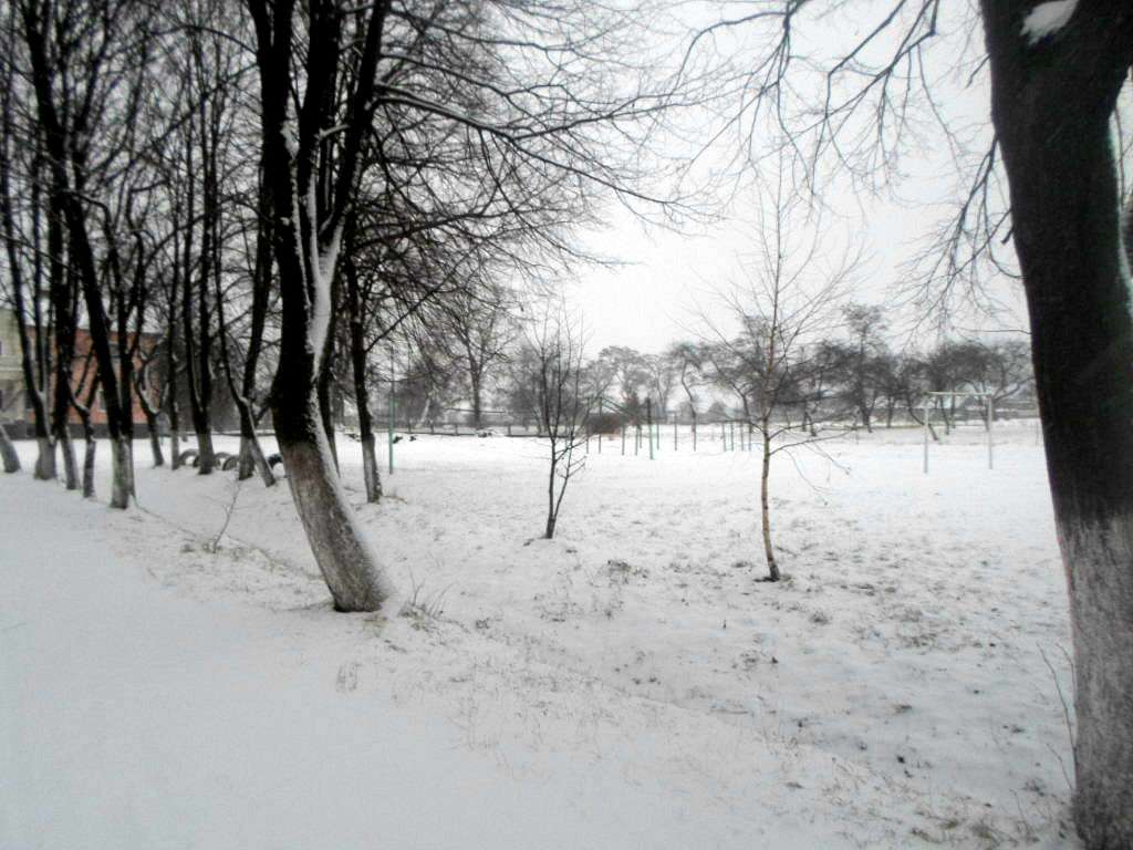 школа - Derzhiv