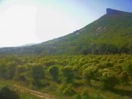 Kuybisheva - Latest photos