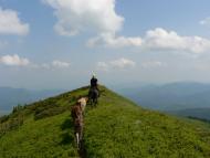 Кічерний - Останні фото