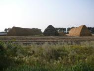 Романова Балка - Последние фото