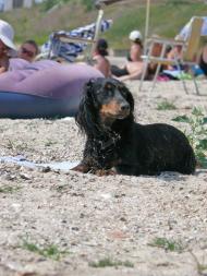 Приморський Посад з panoramio.com