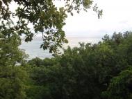 Кизилове з panoramio.com