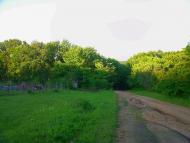 Краснолісся з panoramio.com