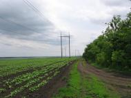 Зеленая Поляна - Последние фото