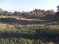 Новотимофіївка - Останні фото