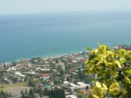 Рибаче - Останні фото