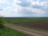 Губник - Останні фото