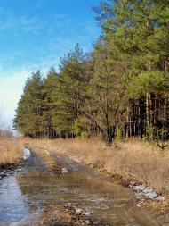 Піщанка з panoramio.com