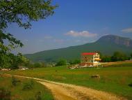 Соколине з panoramio.com (ч.2)