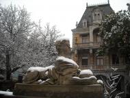 Масандра з panoramio.com