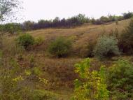 Піски з panoramio.com