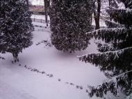 Новостав з panoramio.com