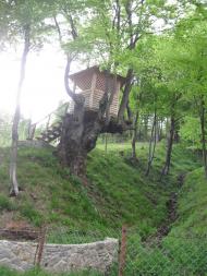 Говерла з panoramio.com (ч.2)