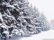 Зугрэс - Последние фото