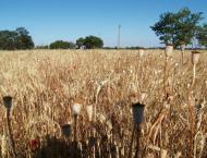 Каїри - Останні фото