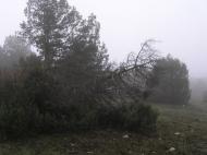 Колхозне з panoramio.com