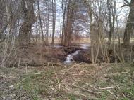 Любимівка з panoramio.com