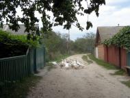 Кролевець з panoramio.com