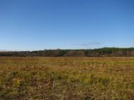 Троянівка з panoramio.com