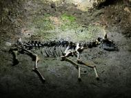 Мраморне з panoramio.com (ч.2)