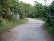 Lyulyntsi - Latest photos