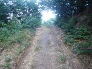 Krasna - Latest photos