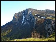 Лаванда - Останні фото