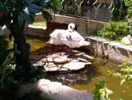 Корсунці з panoramio.com