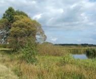 Доротище з panoramio.com