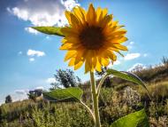 Романова Балка з panoramio.com