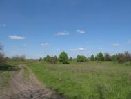 Гірницьке з panoramio.com