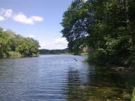 Коропове - Останні фото