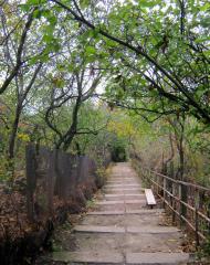 Лучисте з panoramio.com (ч.2)