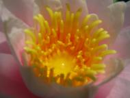 Нікіта з panoramio.com (ч.2)