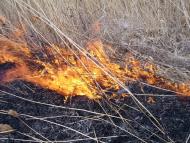 Бердянськое - Последние фото