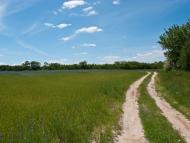 Студенець з panoramio.com