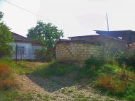 Golubynka - Latest photos