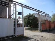 Олександрія - Останні фото