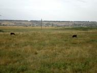 Костянтинопіль - Останні фото