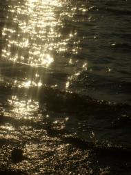 Новоозерне - Останні фото