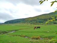 Рогачин з panoramio.com