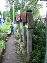 Тересва з panoramio.com