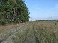 Нова Буда - Останні фото