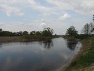 Кроти з panoramio.com